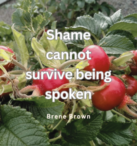 Shame – What it is and an effective antidote